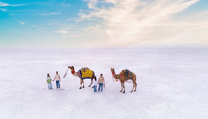White Desert
